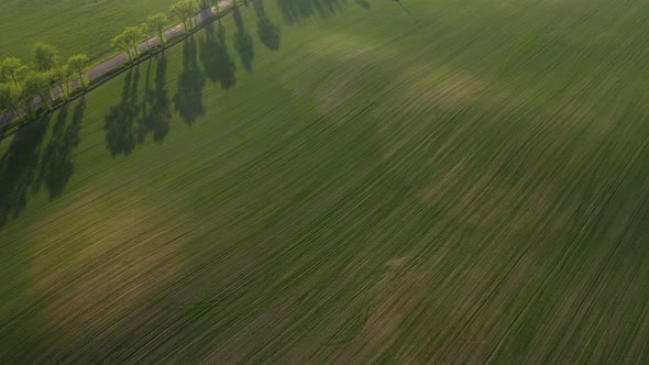 Aerial View of a Green Field and a Road .Green Field in Europe.Nature Of Belarus.Sown Green Field at alt