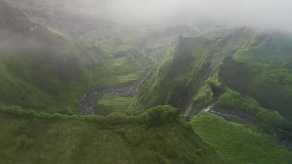 Hyperlapse of Picturesque Landscape with Vibrant Plants alt