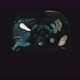 Bulk Multicolored CT Scan of the Abdomen - VideoHive Item for Sale