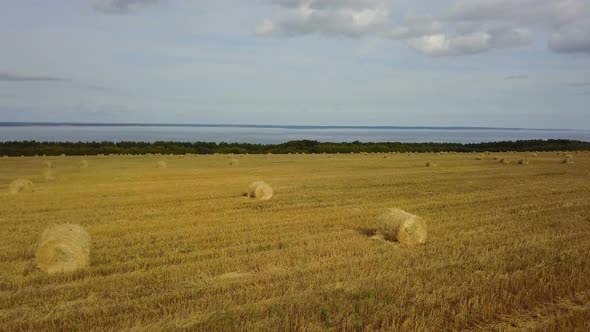 Haystack Field And Sea