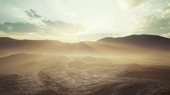 Flying on the Dry Ground at the Sunset