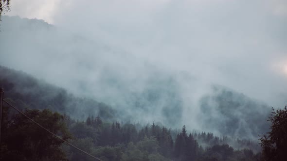 Timelapse Shot of the Evaporation of Moisture in the Forest