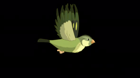 Green forest bird flies alpha matte 4K