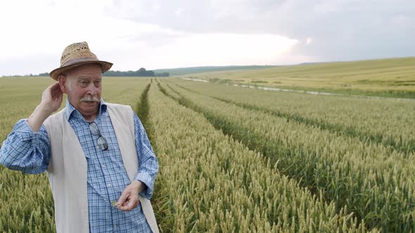 Senior Farmer Takes Off a Hat Takes Out a Handkerchief and Wipes Sweat in Field alt