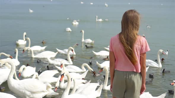 Little Girl Sitting on the Beach with Swans