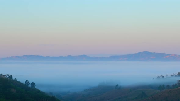4K : Beautiful light of the dense fog and the sky at sunrise. alt