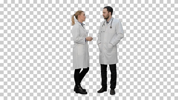 Two professional doctors talk before operation, Alpha Channel