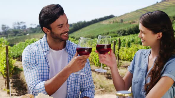 Couple toasting wine glasses in the farm alt