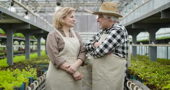 Side View of Cheerful Senior Caucasian Man and Woman Talking in Greenhouse, Turning To Camera and alt
