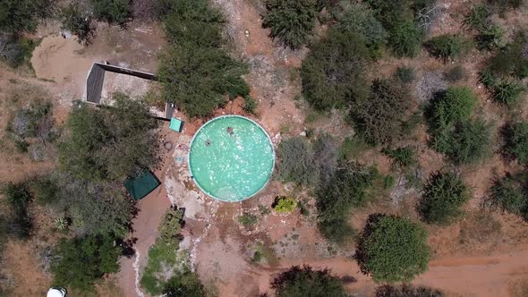 Top view on a big pool in the middle of the wild in Africa, two people swimming alt
