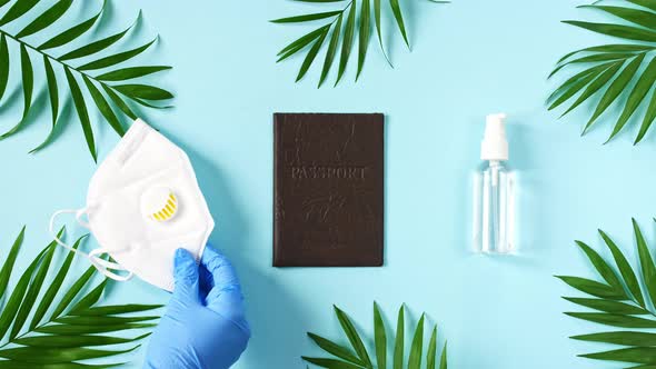 Model Airplane Passport Protective Equipment for Prevention of Virus Infection Medical Masks Hand alt