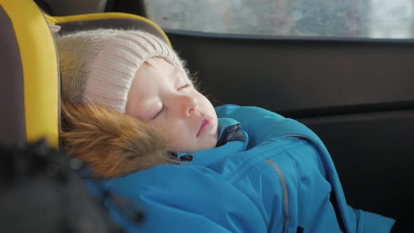 Toddler Boy Sleeping in Child Safety Seat in Car. alt