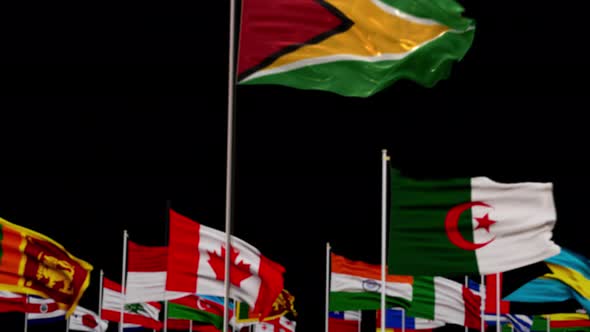 Guyana Flag With World Flags In Alpha Channel