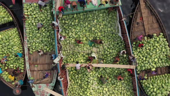 Aerial view of people working with watermelons, Dhaka, Bangladesh. alt