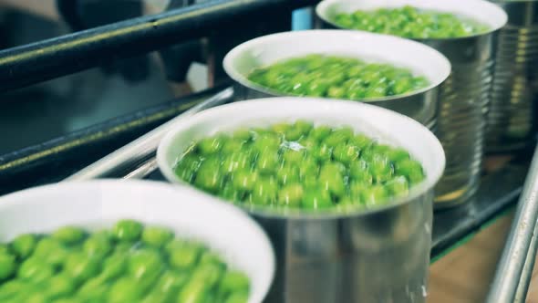Close Up of Unsealed Tin Cans with Peas on the Conveyor alt