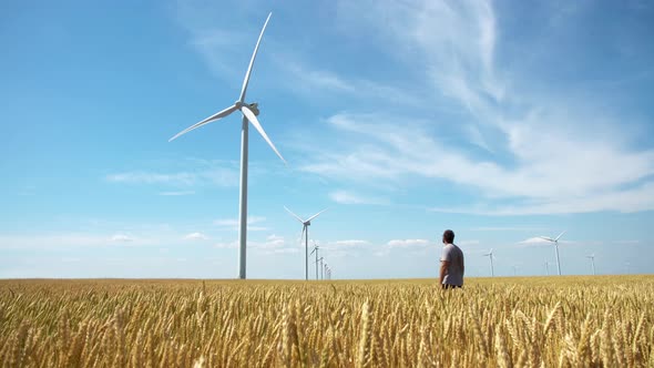 Man on yellow field of wheat with windmills for electric power production alt