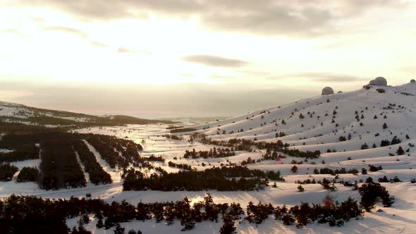 Beautiful Landscape Of Snowy Pine Trees alt