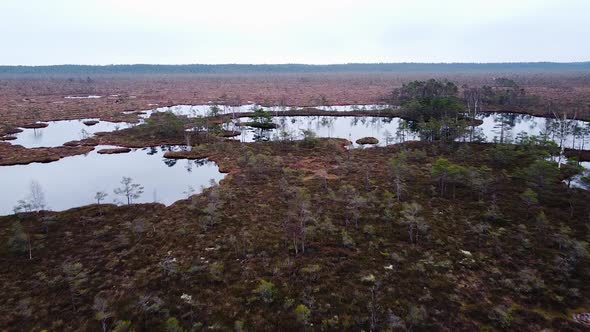 Aerial birdseye view of Dunika peat bog (mire) with small ponds in overcast autumn day, wide drone s alt