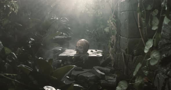 Human skull and ancient ruins in the jungle