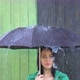 Heavy Rain pours on Girl Sheltered under Umbrella. - VideoHive Item for Sale