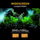 Widescreen Magic Garden Hall 15 - VideoHive Item for Sale