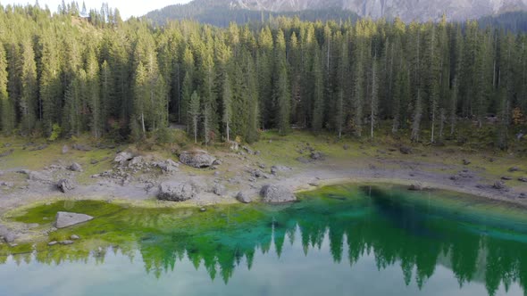Carezza Lake and forest reflection view