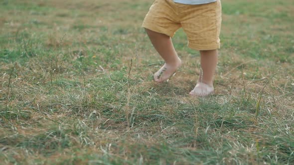 Happy runaway curly barefoot little boy on summer green grass meadow sunny day outdoor