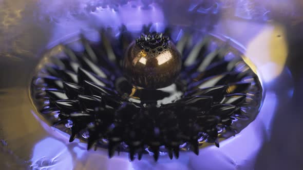 Ferrofluid. Beautiful Colors and Fantastic Shapes. Close-up