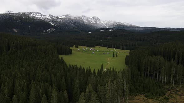 Javornik Mountain pasture in Pokljuka Alpine Forest; cinematic aerial reveal, Slovenia alt