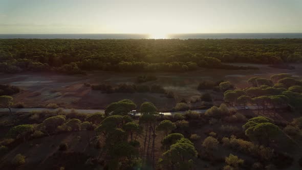 Aerial view of a car road surrounded by trees with the sea in the background. alt