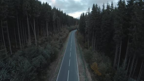 Mystical Autumn Landscape alt