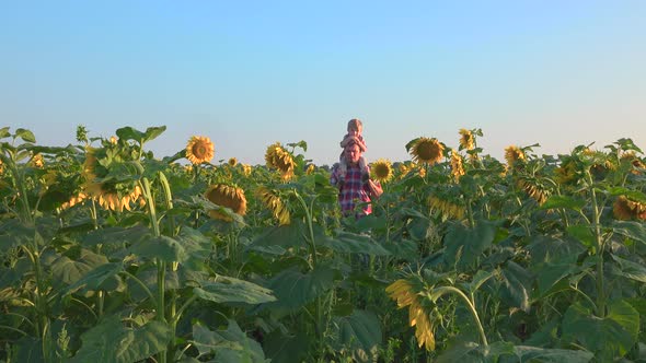 Farmer Walking With His Son in Field of Sunflowers alt