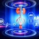 Male Urinary System Virtual Reality - VideoHive Item for Sale