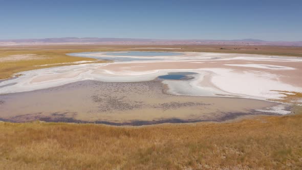 San Pedro De Atacama, Antofagasta. Chile, Desert, Andes Cejar Lagoon and Eyes of the Salar