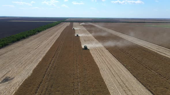 The Combine Harvester Harvests In The Field. From A Bird's Eye View alt
