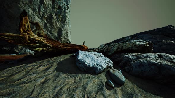 Hyperlapse of Deserted Beach and Rocky Cliff alt