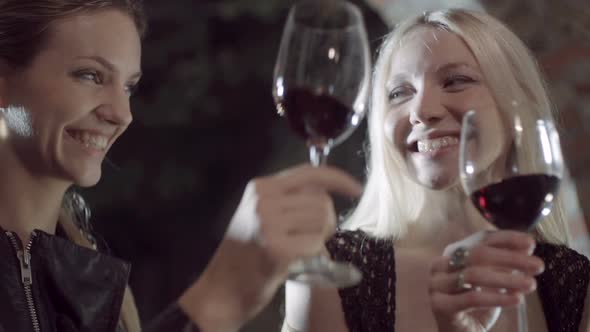 Young Beautiful Homosexual Lesbian Woman Couple Making a Toast with Wine and Smile at Night Slow