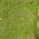 Wild field with grass - VideoHive Item for Sale