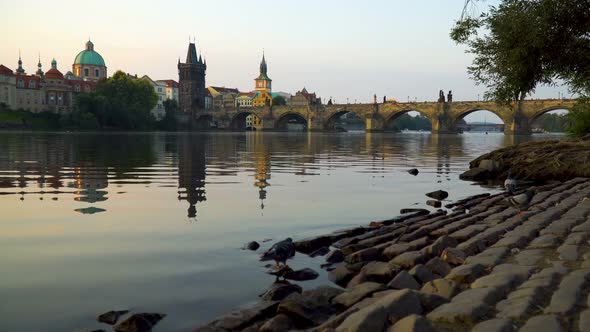 Doves and Charles Bridge