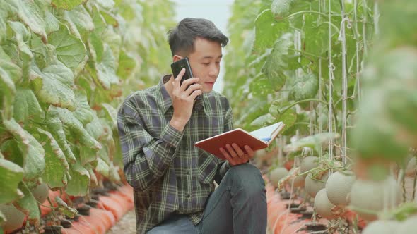 Asian Farmer Talking On Mobile Phone In Organic Farms With Book. Agriculture Or Cultivation Concept alt