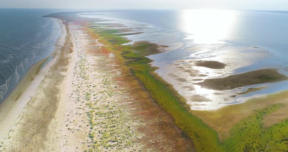 Aerial View of Sacalin Peninsula in Danube Delta alt
