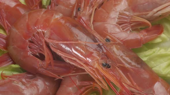 Red Argentinian shrimps sea food rotating on salad. Prawn shellfish shrimp on plate raw ingredient alt