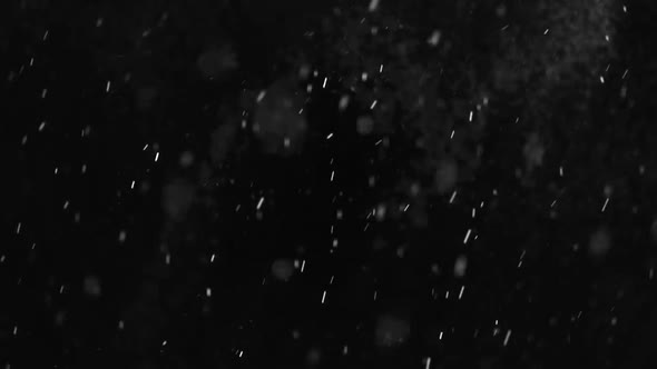 It Is Snowing in Heavy Snowstorm Winter Weather Real Snow Falling on Black Background alt