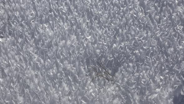 Rime Ice Crystals and Hoar Frost Covered on Untouched Ground alt