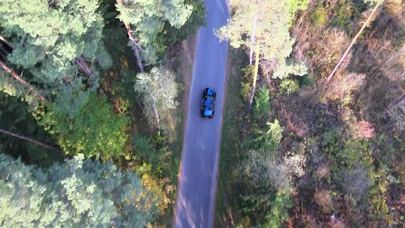 Car In Autumn Forest 1 alt