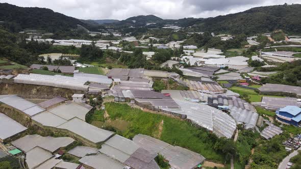 Cameron Highlands, Pahang Malaysia alt