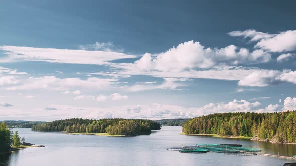 Fisheries, Fish Farm In Summer Lake Or River In Beautiful Summer Sunny Day. Fish Farm Salmon. alt