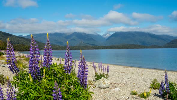 View on Manapouri Lake, New Zealand alt