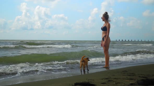 Woman in bikini on beach by sea with dog. alt