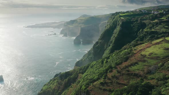Aerial View of the Shore Covered with Lush Green Vegetation alt